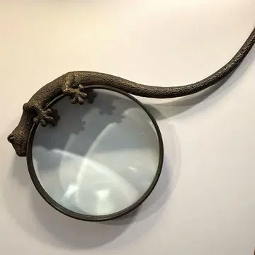 철제 도마뱀 루페