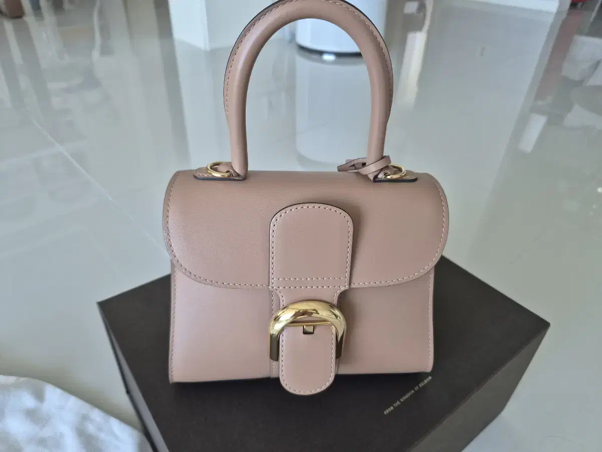 Delvaux Brilliant Box Calf Mini Bijon