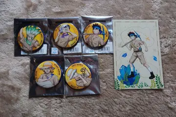 Dr.STONE 캔뱃지 탐험가