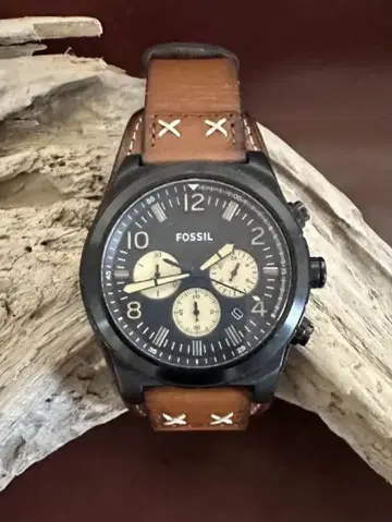 FOSSIL 파슬 CH3066