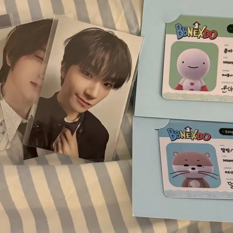 BOYNEXTDOOR | 보이넥스트도어 boynextdoor pop up ID card/pre