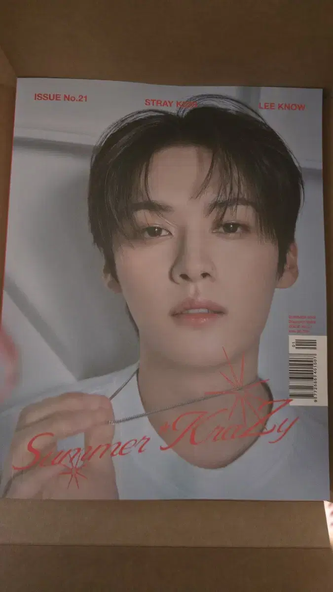 Stray Kids Lee Know D-Ikon a,b