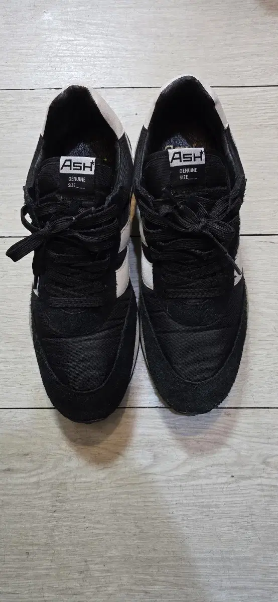 Ash Men's Sneakers, Athletic Shoes, 280 mm Authentic