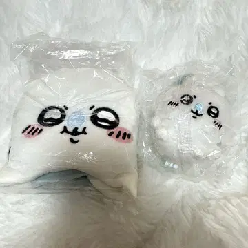 모몽가 세트