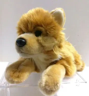 레가로 REGALO 강아지 개 누워있는 BIG 봉제 인형