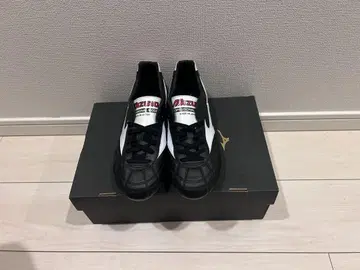 MIZUNO(미즈노) 모레리아 2