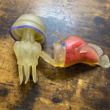 해파리 오오코제 &co 데아고스티니 앤코