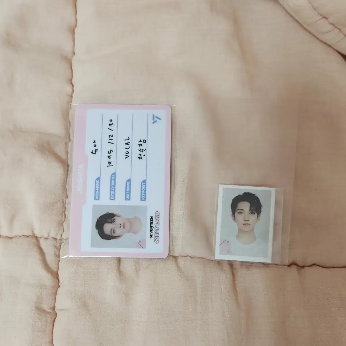 SEVENTEEN CARAT LAND ID CARD SET 2022 2023 Carat Land ID Card