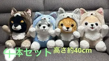 콩 세 형제, 느긋한 늑대, 빅 마메타로, 타이가, 마메지로, 사스케