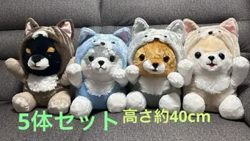 콩 세 형제, 느긋한 늑대, 빅 마메타로, 타이가, 마메지로, 사스케