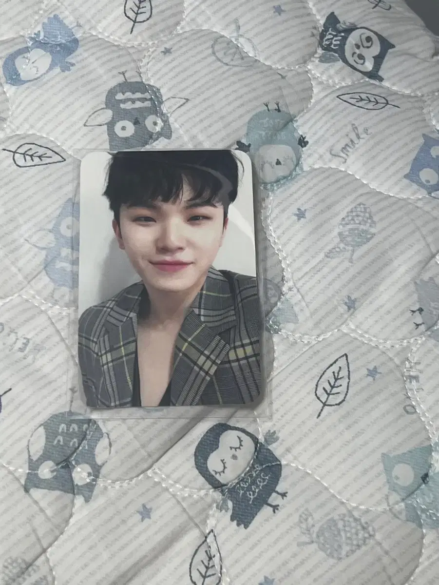 세븐틴 세미콜론 우지포카