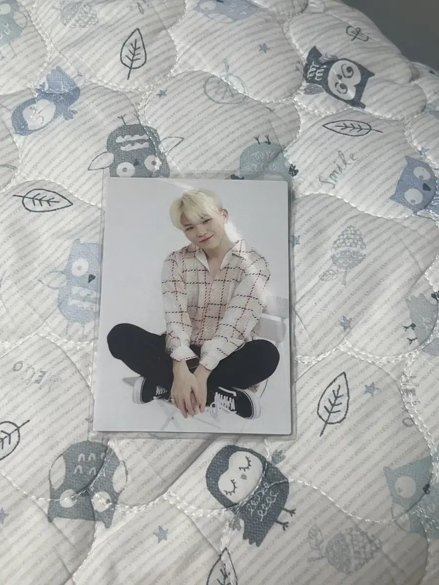 세븐틴 아이딜컷 일본 우지 포카
