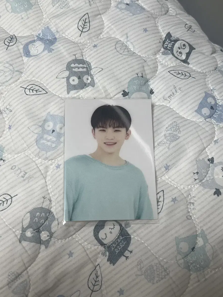 세븐틴 치즈카페 우지포카 입장포카