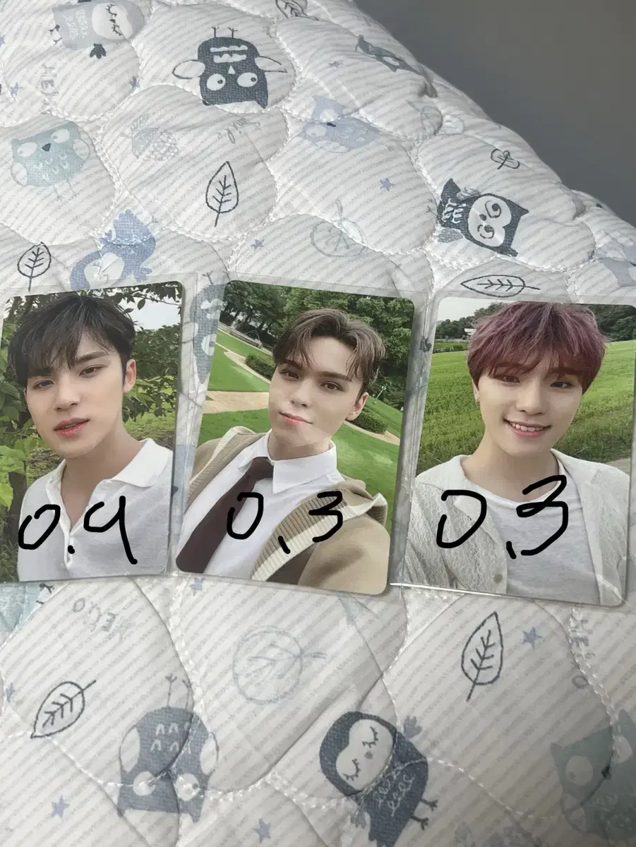 세븐틴 소셜클럽 포카