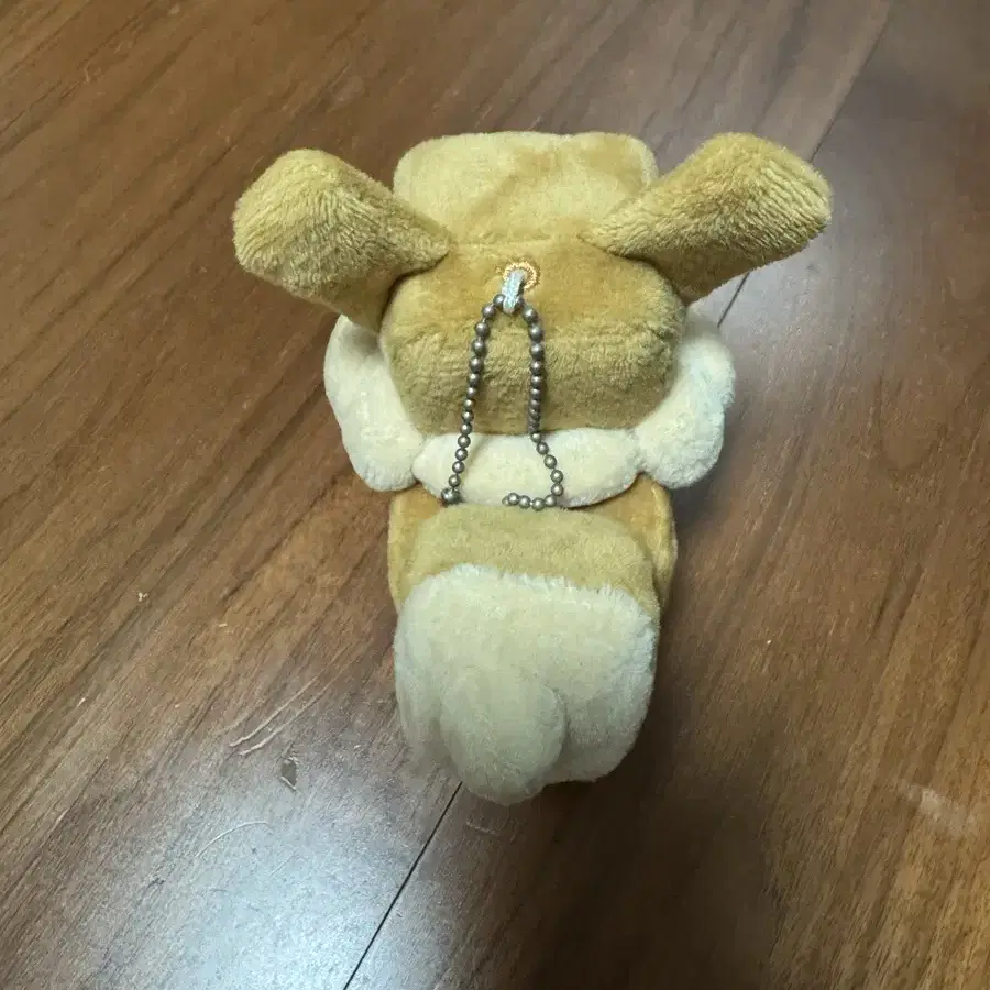 포켓몬 퀘스트 네모 이브이 키링 인형