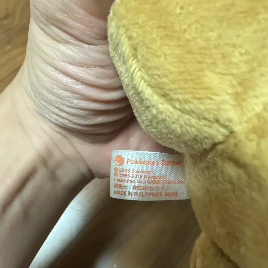 포켓몬 퀘스트 네모 이브이 키링 인형