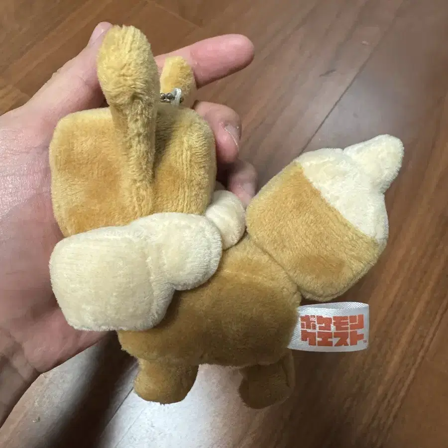 포켓몬 퀘스트 네모 이브이 키링 인형