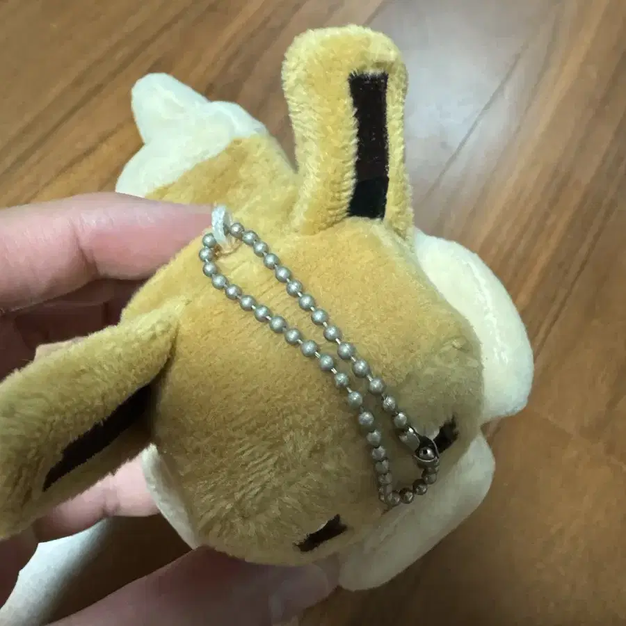 포켓몬 퀘스트 네모 이브이 키링 인형
