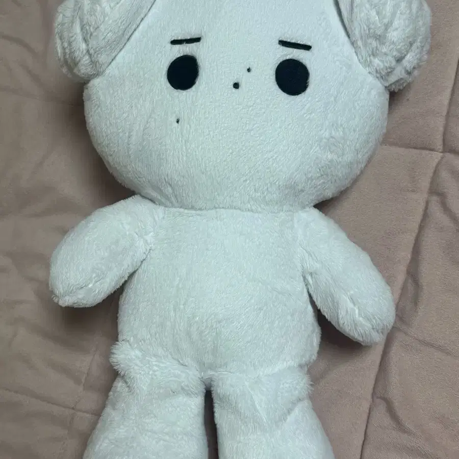 엔하이픈 성훈 인형 왕훈댕이