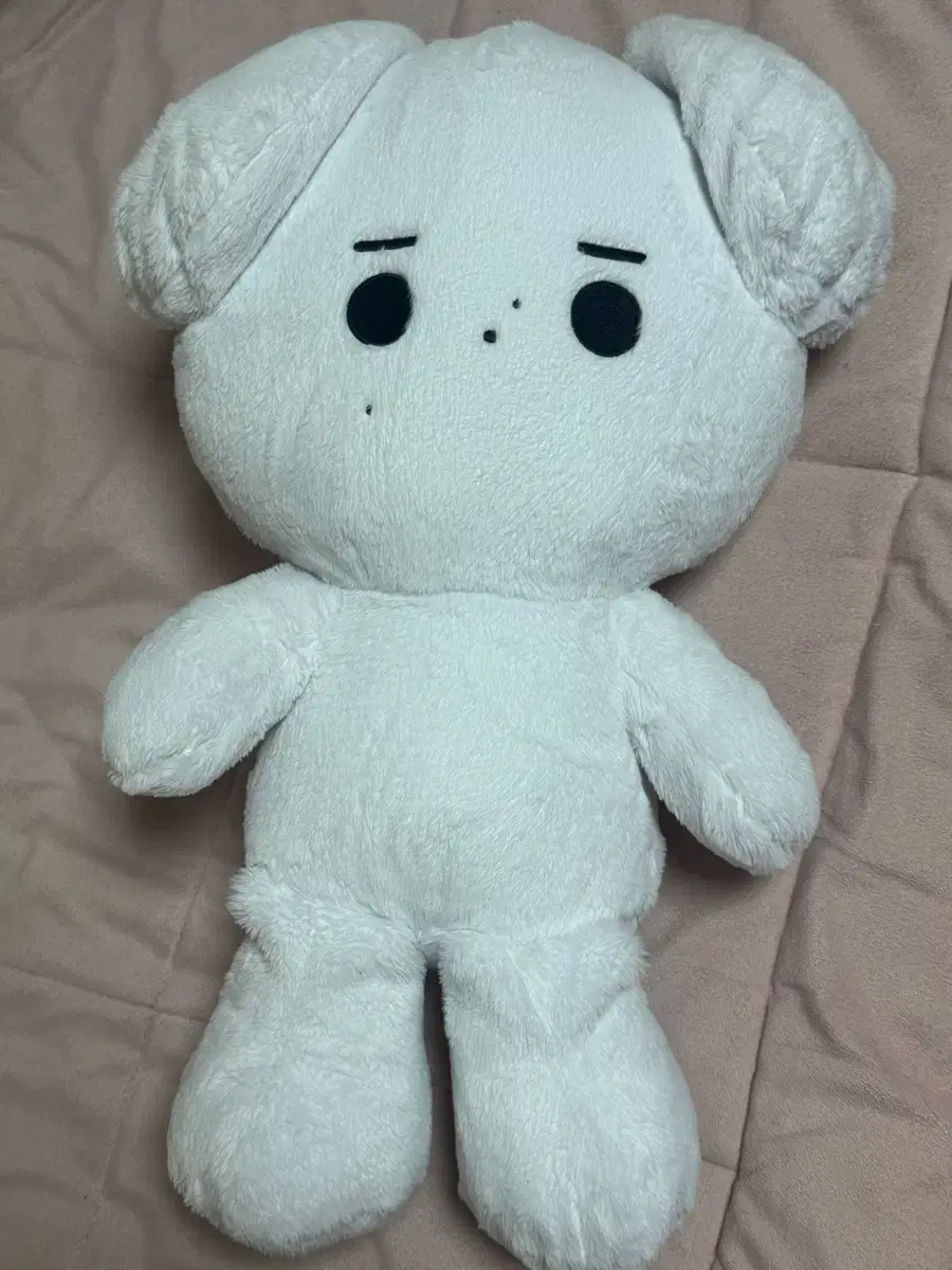 엔하이픈 성훈 인형 왕훈댕이