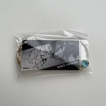 토도로키 쇼토 키링 컬렉션
