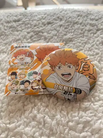 하이큐 합동 연습회 2021 캔뱃지 히나타