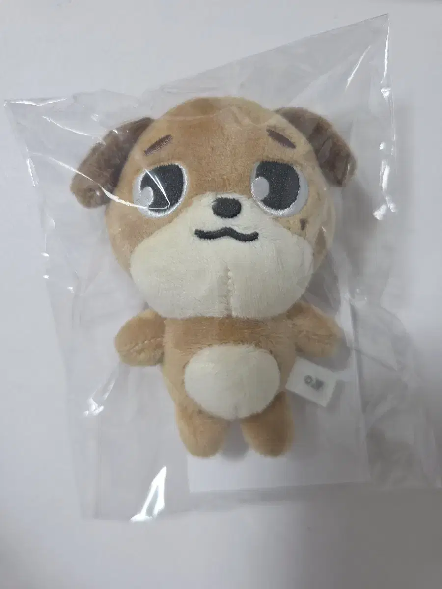DAY6 Japan MD Denimals Don