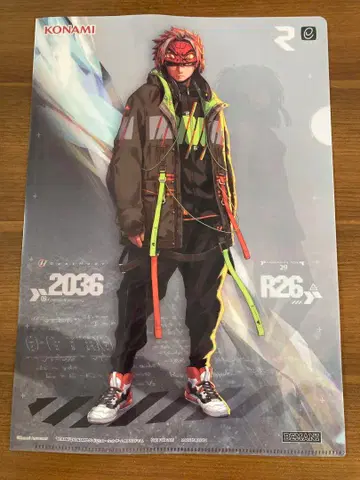 IIDX 29 CastHour 클리어 파일 전 5종 세트 (8장)