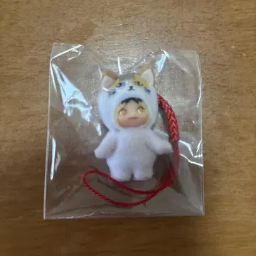 하이큐 큐피 코즈메 켄마