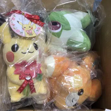포켓몬 묶음 판매 봉제 인형