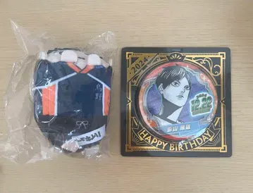 카게야마 토비오 벌스데이 캔뱃지 극락탕 하이큐 모치코로린