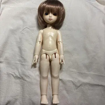 ROSEN LIED 로젠 리드 화요일코 인형