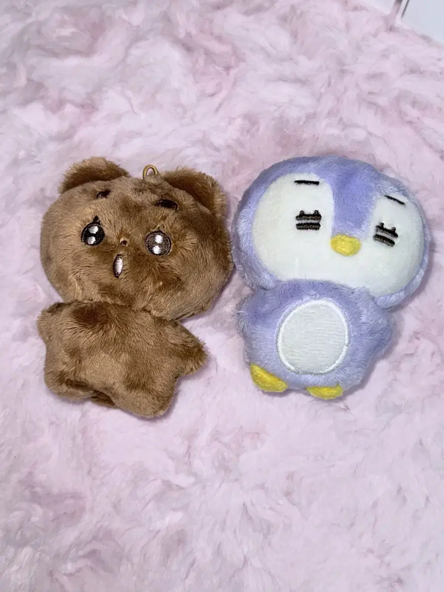 급처)뽀바투 뽀송밤 말랑닝 범규 휴닝카이 인형 포카 판매