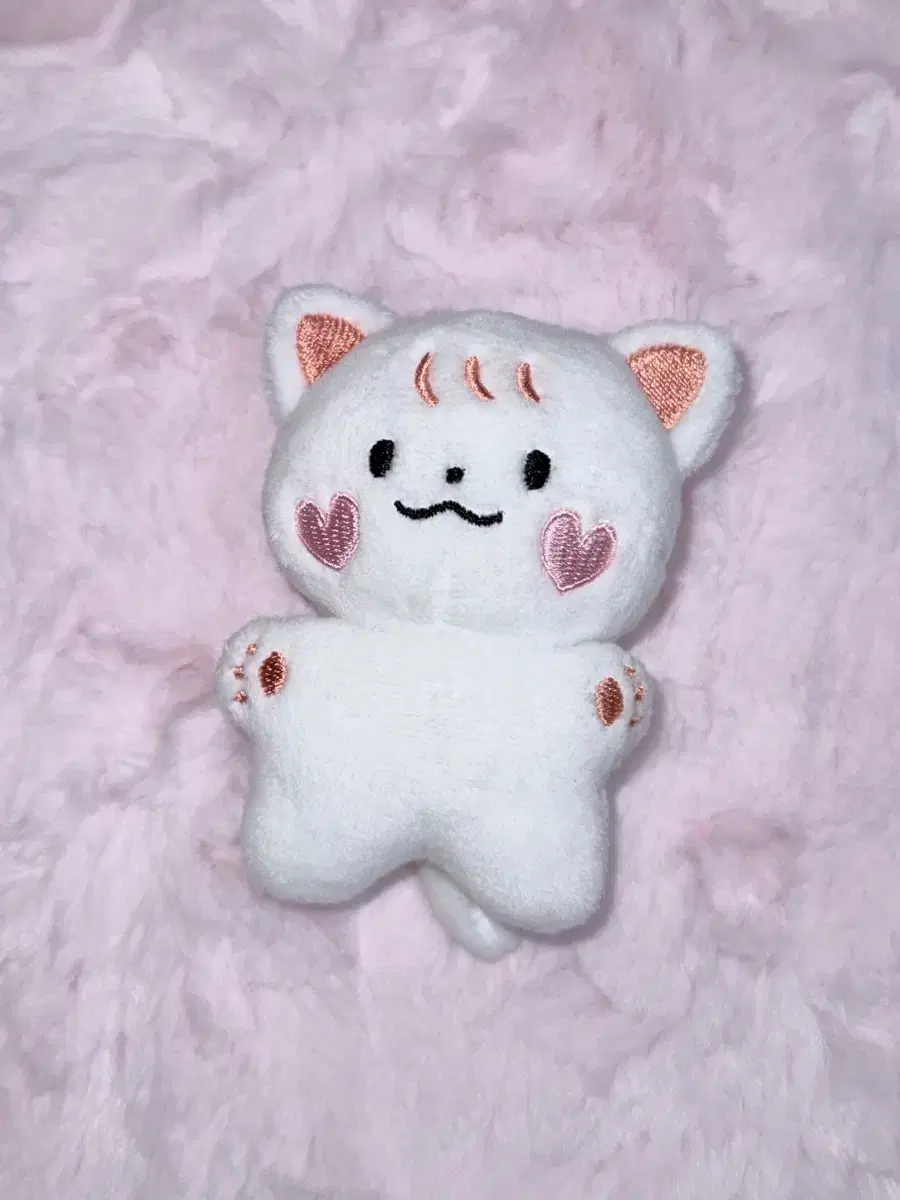 급처)쭌냉이 쭌링이 투바투 연준 인형 말랑쭌 판매