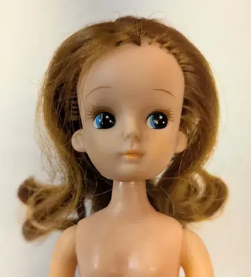 타카라 2대 리카짱 중기