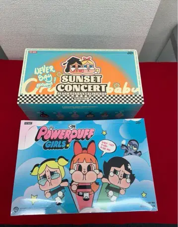 POPMART CRYBABY 2종 봉제 인형 [모듬 박스] x2