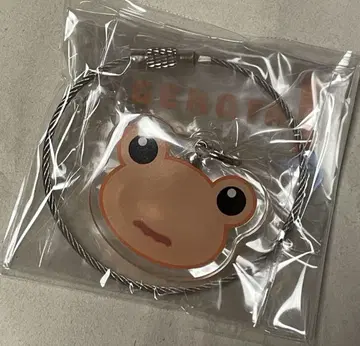 특정 과학의 초전자기포 게코타 와이어 참