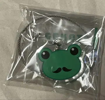 특정 과학의 초전자기포 게코타 와이어 참