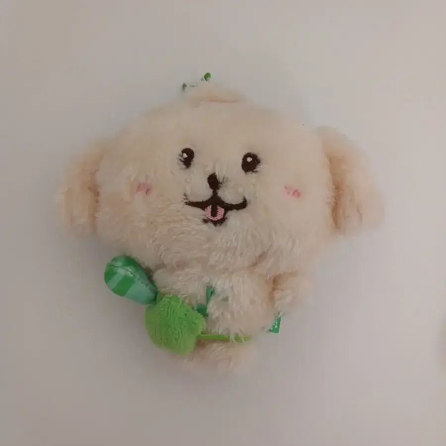 NCT - NCT WISH DOLL ぬいぐるみ ジェヒ JAEHEE ドール 公式 NCT WISH Plush Doll – Kpop Exchange