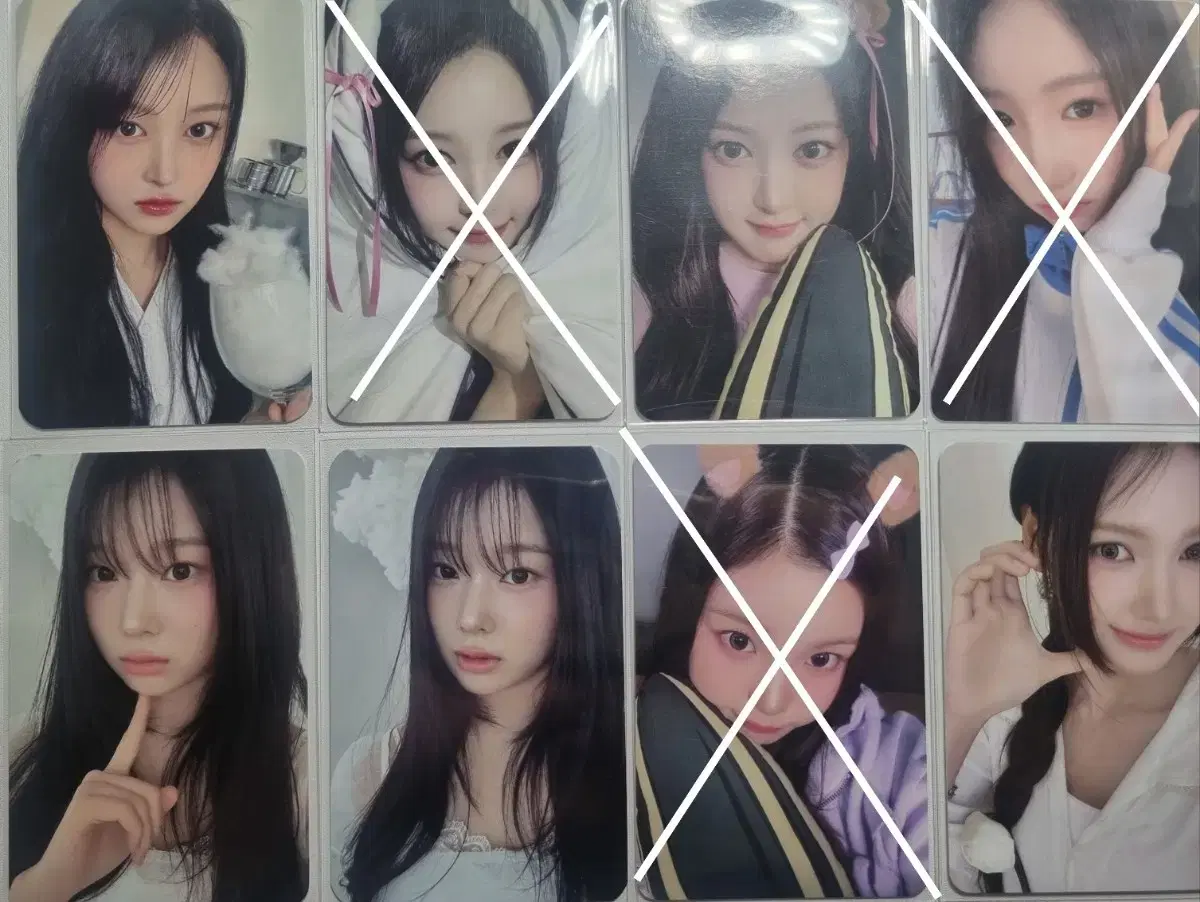 세이마이네임 미공포 앨범 포카 양도판매 히토미메이카니준휘도희승주소하샤랄라