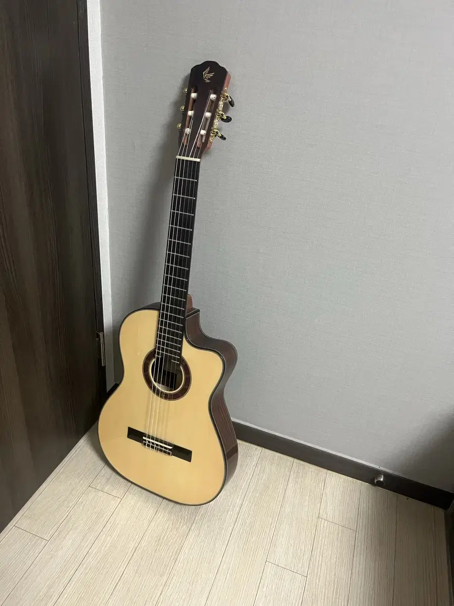 기타 판매 (고퍼우드 클래식 c600tce)
