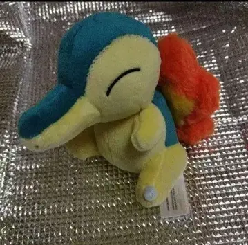 포켓몬 센터 Pokemon fit 히노아라시 봉제 인형