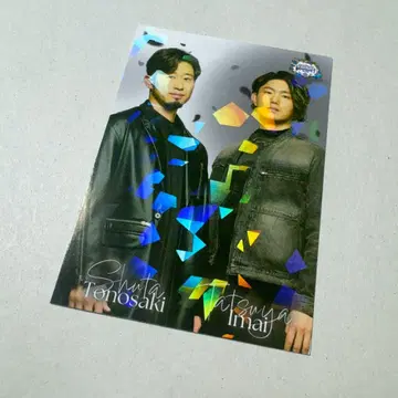 사이타마 세이부 라이온스 부케 시리즈 카드 이마이 타츠야 토가사키 슈타