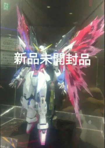 METAL BUILD 데스티니 건담 풀 패키지 2024