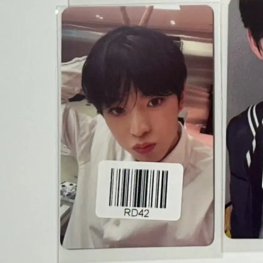 NCT WISH [STEADY] OFFICIAL MD RANDOM TRADING CARD SET - Kpop USA