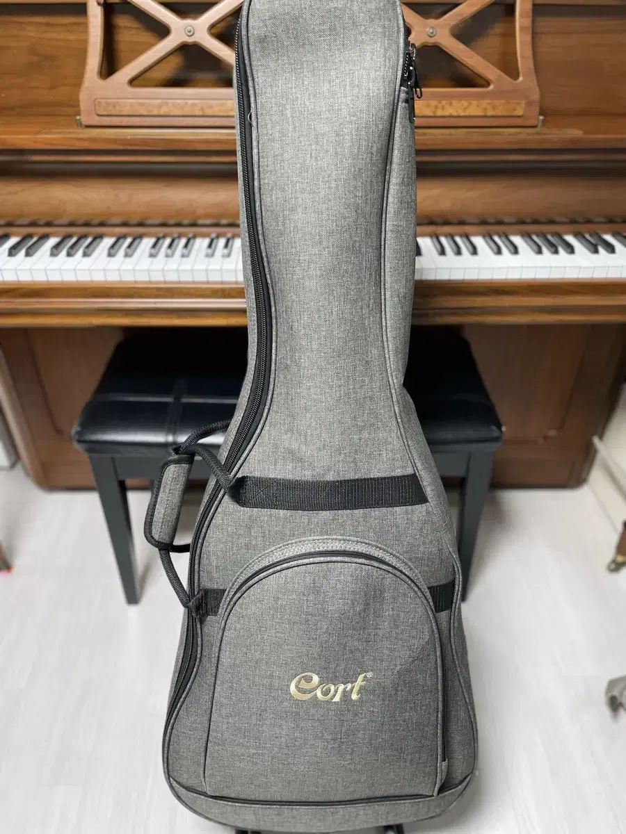 Cort Earth 100 Acoustic Guitar