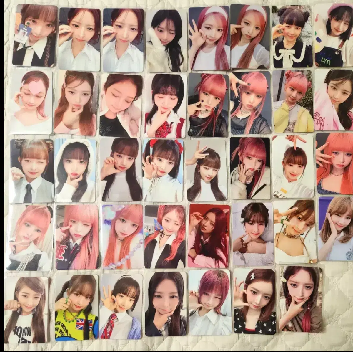 아이브 레이포카