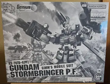MG 1/100 건담 스톰 브링거 P.F. 미사용 새상품