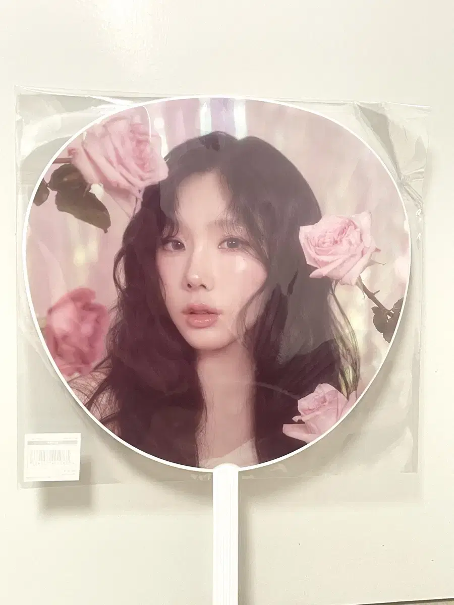 Taeyeon The Ten Japan Concert MD Fan