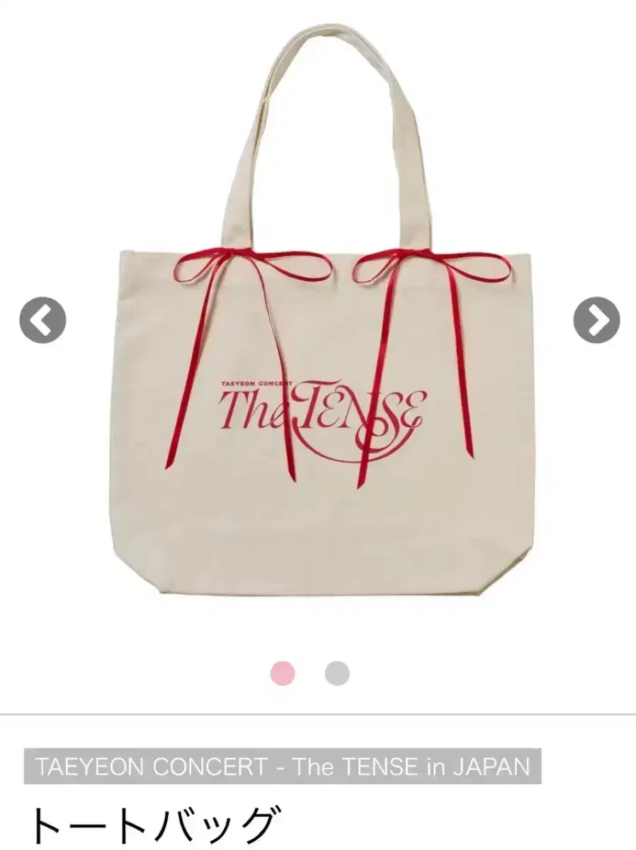 Taeyeon The Ten Japan Concert MD Ecco Bag